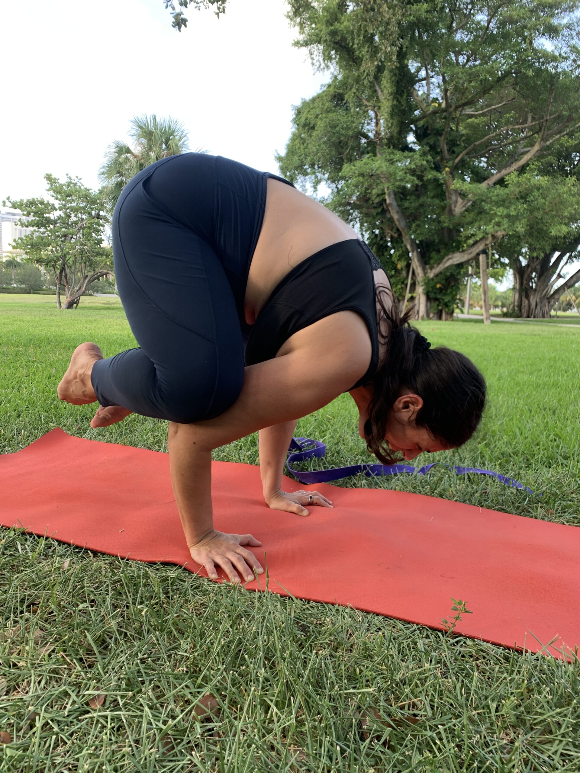 Minicurso Taller Postura del Cuervo - Image 3